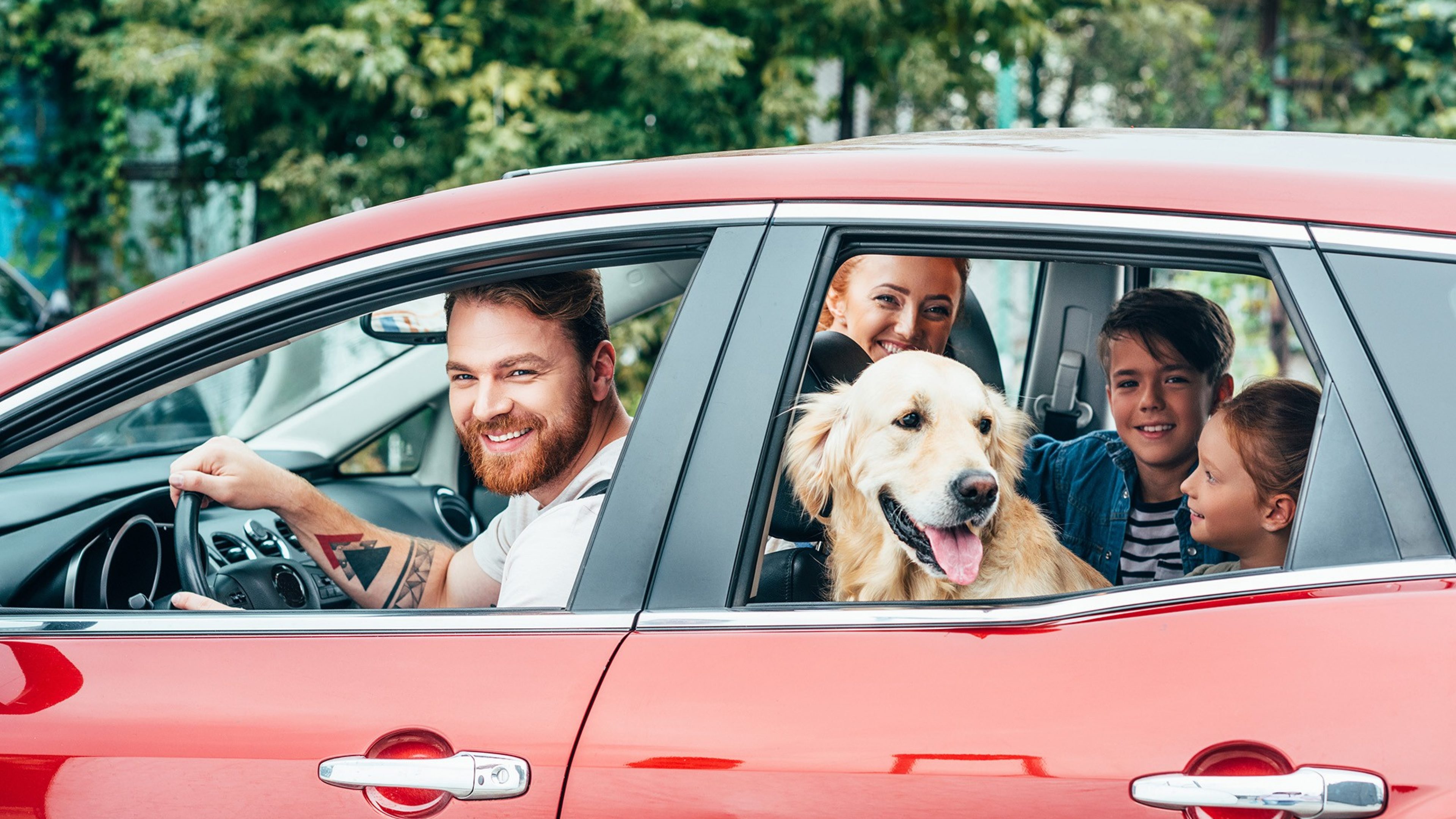 beautiful young family travelling by car with dog